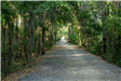 shaded walking trail