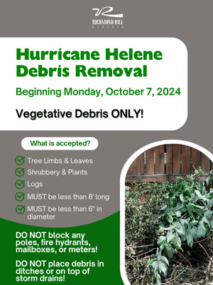 Helene Debris Removal